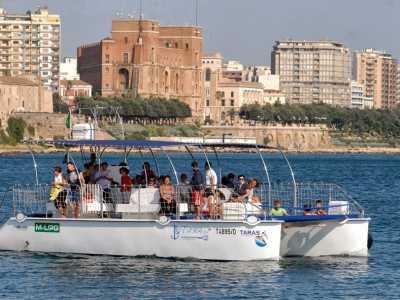 Il catamarano Taras di 12 metri che ospita fino a un massimo di trenta persone ed � il mezzo ideale per lo studio dei cetacei